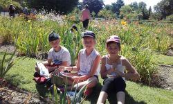 Classe Decouverte Rouen   026